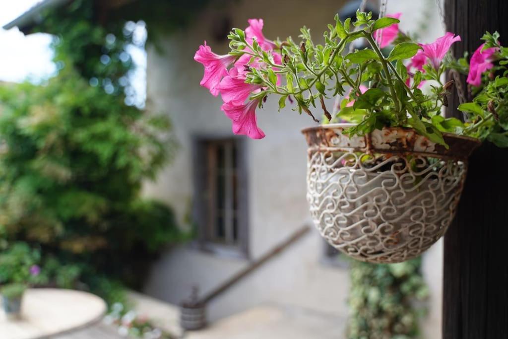 Maison Vigneron - Maison Et Studio Saint-Didier-sur-Beaujeu Ngoại thất bức ảnh